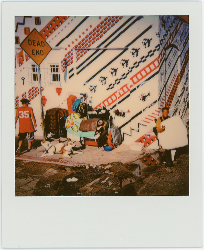 Polaroid 24